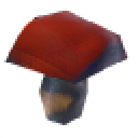 Mushroom Mushroom